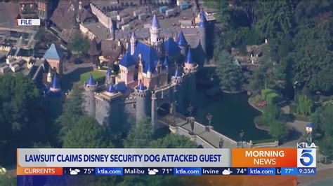 Nevada man files lawsuit against Disneyland after alleged attack by security dog